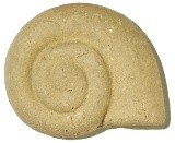 W 2sg kožová kamenina.jpg